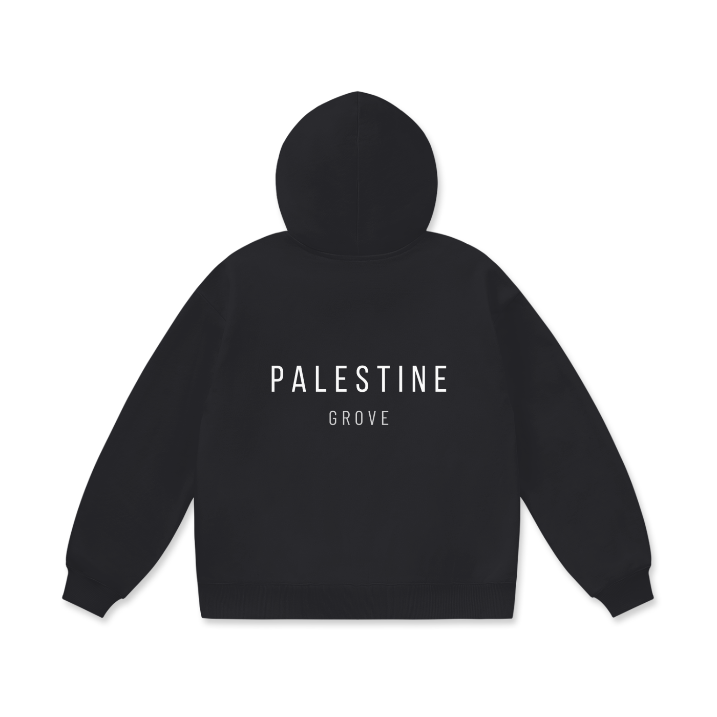'Palestine' Heavyweight Hoodie