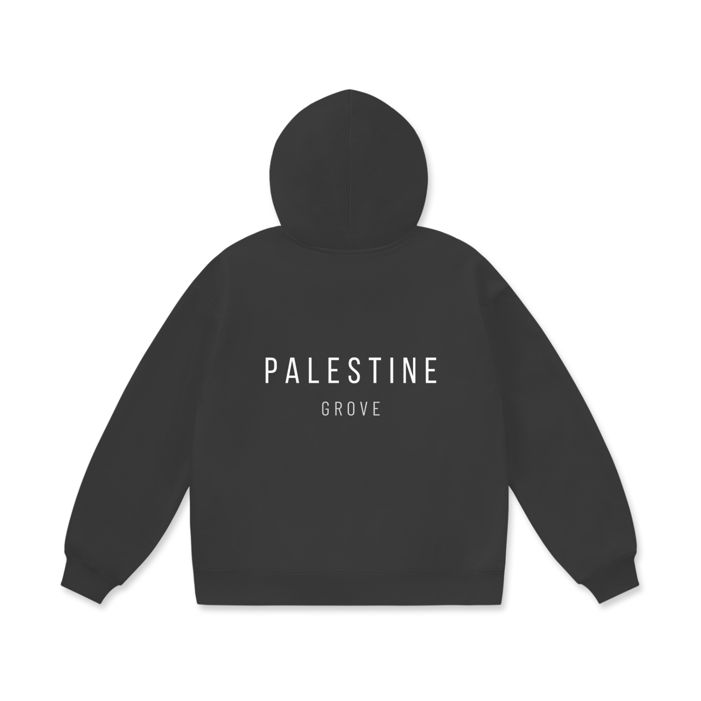 'Palestine' Heavyweight Hoodie
